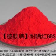 白城bbs紅