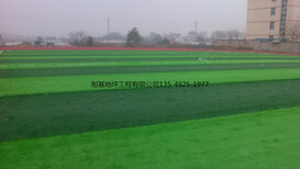 學(xué)校運(yùn)動(dòng)場(chǎng)人造草地坪EPDM塑膠跑道運(yùn)動(dòng)場(chǎng)耐基地坪涂料及施工哪家好
